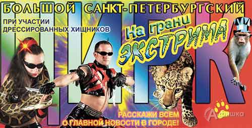Афиша гастролей цирков в Белгороде: шоу «На грани экстрима»
