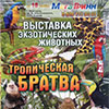 Выставка экзотических животных «Тропическая братва» в Мега Гринн Белгород