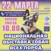 Зоовыставки в Белгороде: национальная выставка собак всех пород