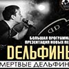 Афиша клубов Белгорода: «Дельфины» в баре «Чак Норрис» 15 мая