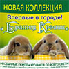 Афиша музеев Белгорода: выставка «Братец Кролик»