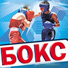 Спортивная афиша Белгорода: Чемпионат Центрального Федерального округа  по боксу