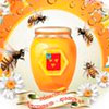 Не пропусти в Белгороде: фестиваль-ярмарка «Земский вкус мёда 2015» 14 августа 2015 года