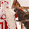 Не пропусти в Белгороде: Обзорная экскурсия «Как зимуют звери в зоопарке» 5 января в 13.00