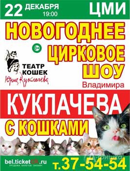Новогоднее цирковое шоу с кошками Владимира Куклачёва в Белгороде
