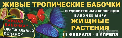 Интерактивная экспозиция «Живые тропические бабочки и хищные растения» в Белгороде
