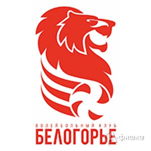 «Белогорье» (Белгород) – «Динамо» (Москва): Волейбол в Белгороде