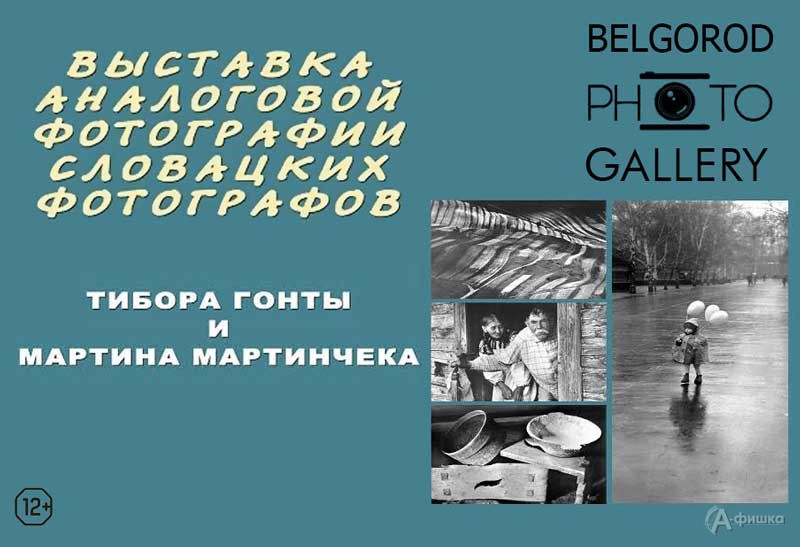 Выставка аналоговых фотографий Мартина Мартинчека и Тибора Гонты: Афиша выставок в Белгороде
