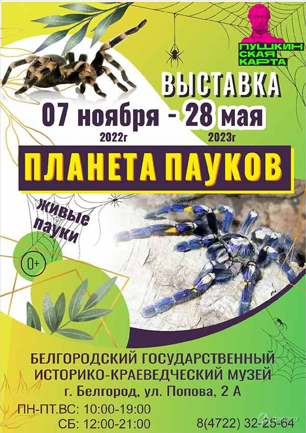 Выставка «Планета пауков»: Афиша выставок в Белгороде