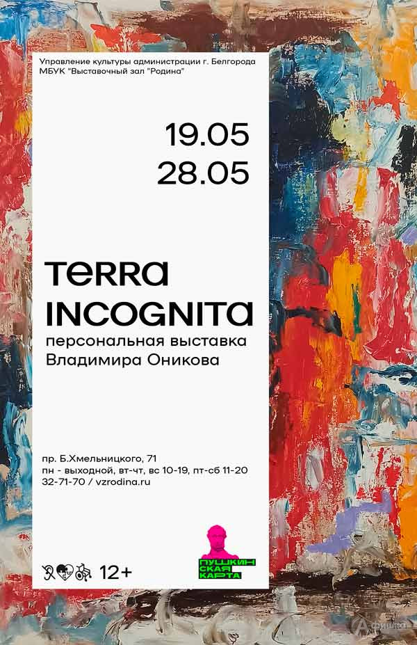 Выставка Владимира Оникова «Terra Incognita»: Афиша выставок в Белгороде