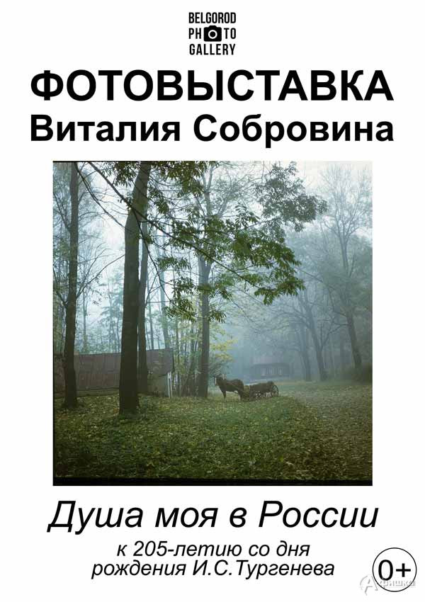 Фотовыставка Виталия Собровина «Душа моя в России»: Афиша выставок в Белгороде