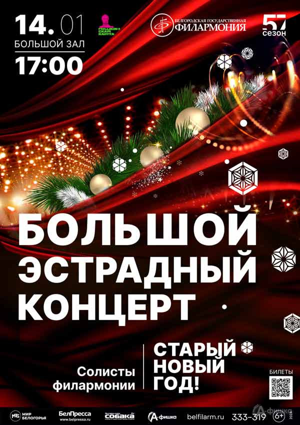 Эстрадный концерт «Старый Новый год!»: Афиша концертов в Белгороде