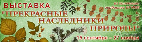 Выставка гербариев «Прекрасные наследники природы» в краеведческом музее: Афиша музеев Белгорода