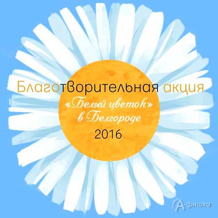 Благотворительная акция «Белый цветок» в Белгороде 4 ноября 2016 года