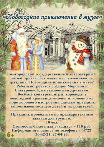 Праздник «Новогодние приключения в Литературном музее»: Новый год в Белгороде