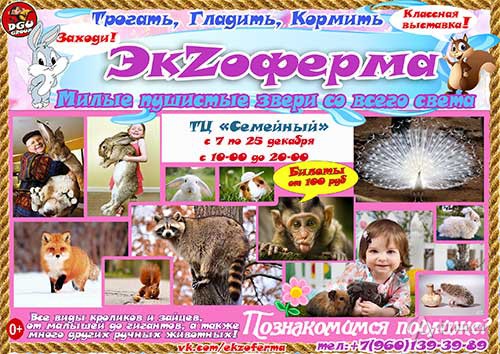 Дом пушистых животных «Экзоферма» в ТЦ «Семейный»: Афиша зоовыставок в Белгороде
