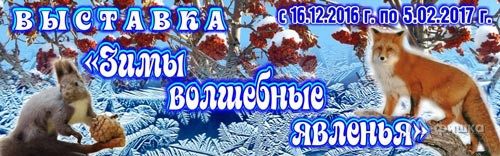 Выставка «Зимы волшебные явленья» в Белгородском краеведческом музее: Афиша музеев Белгорода