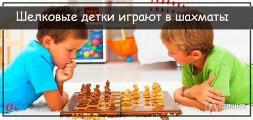 Игровое занятие «Играем в шахматы» в клубе «Шелковые детки»: Детская афиша Белгорода Игровое занятие «Играем в шахматы» в клубе «Шелковые детки»: Детская афиша Белгорода