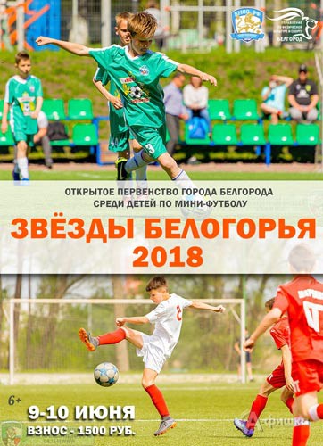 Первенство Белгорода по мини-футболу «Звёзды Белогорья 2018»: Афиша спорта в Белгороде