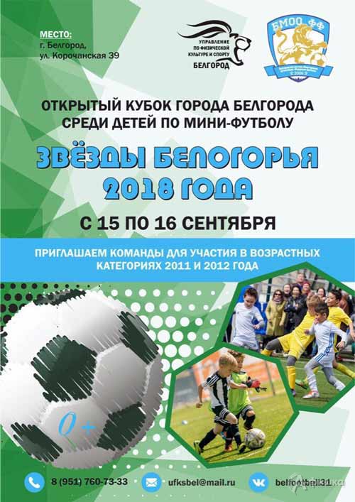 Открытый кубок Белгорода по мини-футболу «Звезды Белогорья 2018»: Афиша спорта в Белгороде
