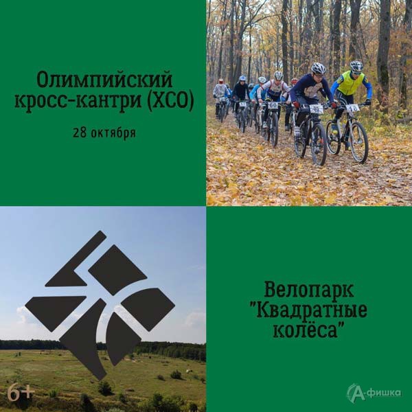 Открытый Кубок Белгородской области по велоспорту-маунтинбайку: Афиша спорта в Белгороде