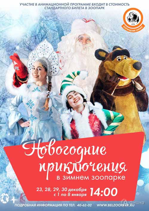 Анимационная программа «Новогодние приключения в зимнем зоопарке»: Новогодняя афиша Белгорода
