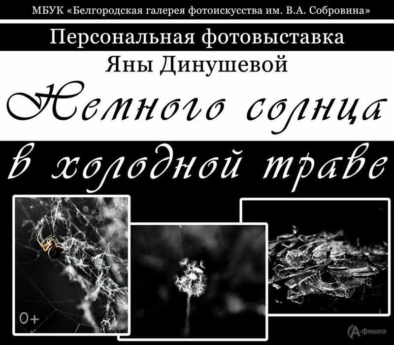 Фотовыставка Яны Динушевой «Немного солнца в холодной траве»: Афиша выставок в Белгороде