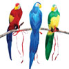 «Выставка попугаев и экзотических птиц» в ТРЦ РИО в Белгороде