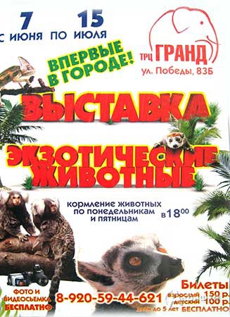 Зоовыставка в Белгороде: выставка экзотических животных