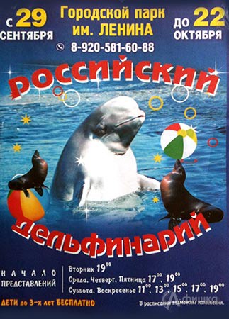 Российский дельфинарий в Белгороде