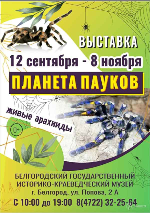 Выставка «Планета пауков»: Афиша выставок в Белгороде Выставка «Планета пауков»: Афиша выставок в Белгороде