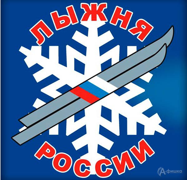 Массовые лыжные гонки «Лыжня России–2020»: Афиша спорта в Белгороде
