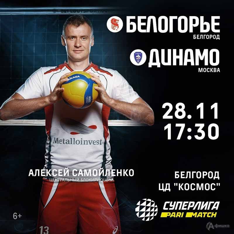 «Белогорье» – «Динамо» (Москва) 28 ноября 2020 года: Афиша волейбола в Белгороде