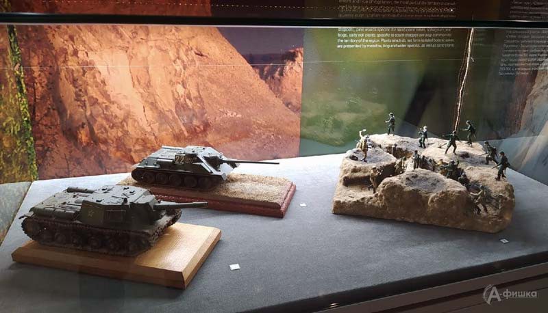 Выставка «Ожившие в масштабе» в музее «Третье ратное поле России»