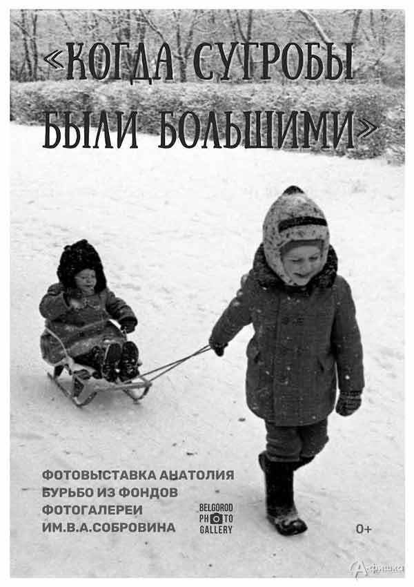 Фотовыставка Анатолия Бурьбо «Когда сугробы были большими»: Афиша выставок в Белгороде