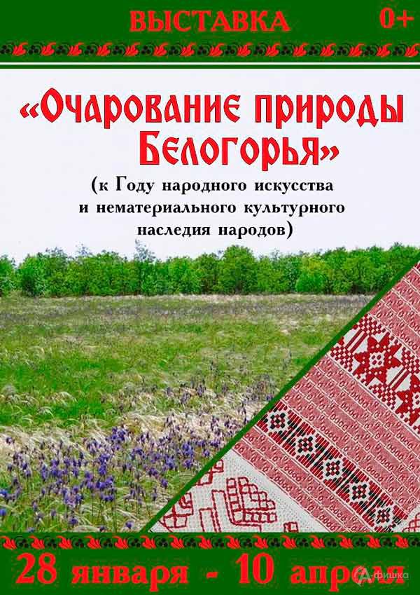 Выставка-исследование «Очарование природы Белогорья»: Афиша выставок в Белгороде