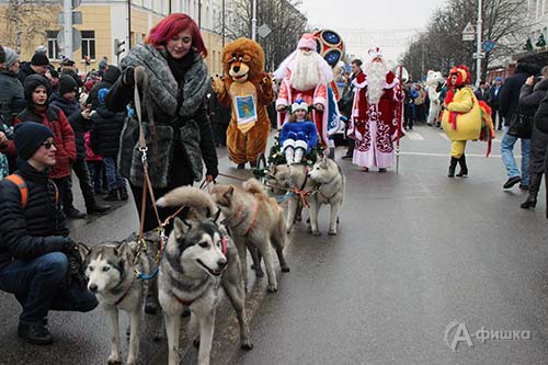 XVI Парад Дедов Морозов открыли символы 2018 года – позитивные и дружелюбные собаки