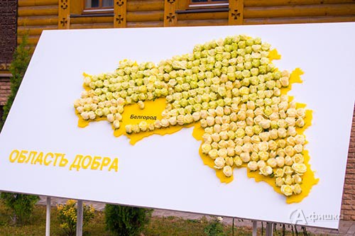 5 сентября 2015 года в Белгороде прошла третья благотворительная акция «Белый цветок»