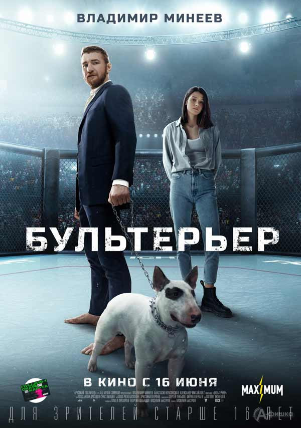Спортивная драма «Бультерьер»: Киноафиша Белгорода