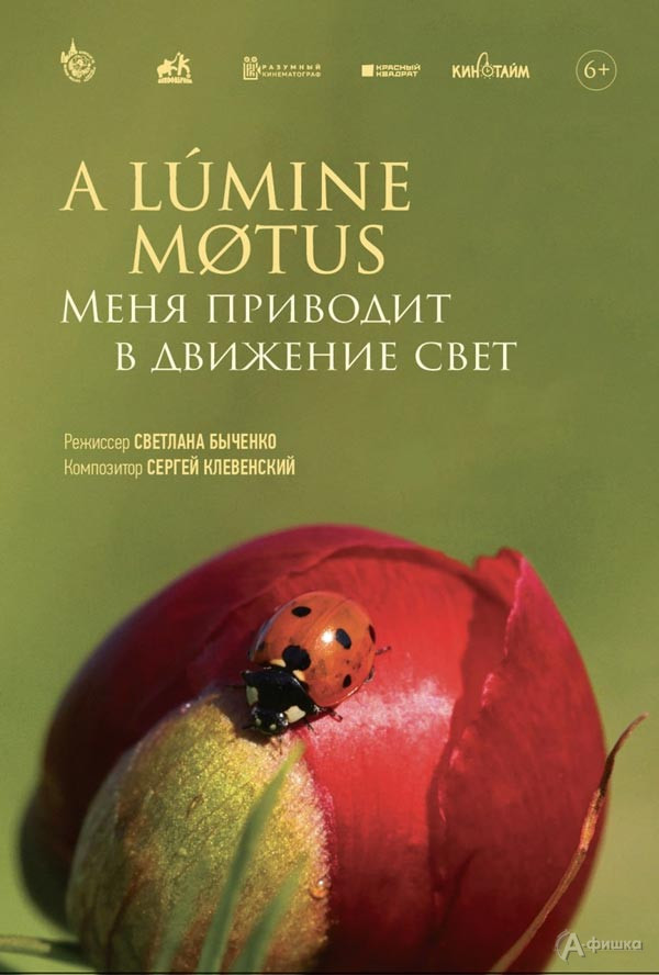 «A lumine motus / Меня приводит в движение свет»: Киноафиша Белгорода