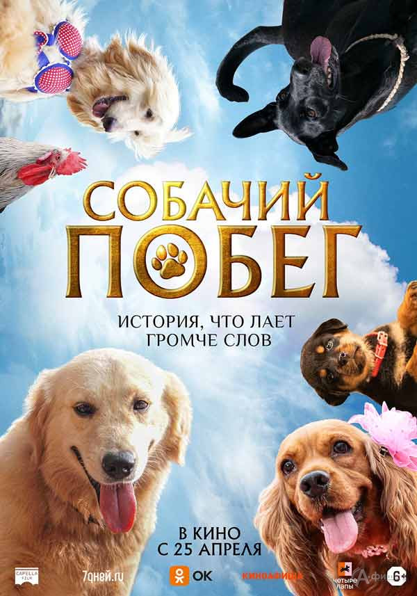 Семейный фильм «Собачий побег»: Киноафиша Белгорода