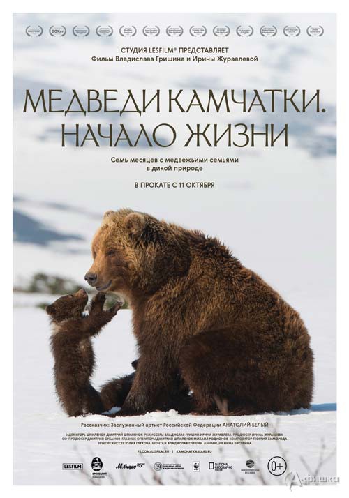 Документальныи? фильм «Медведи Камчатки. Начало жизни»: Киноафиша Белгорода