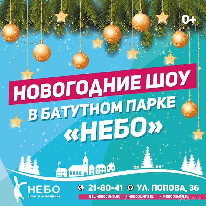 Новогоднее шоу