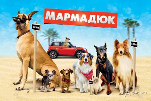 Кино в Белгороде: семейная комедия «Мармадюк»