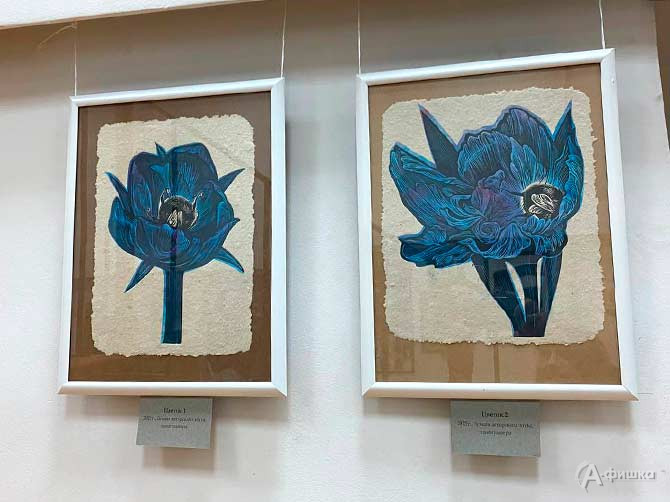 Фрагмент экспозиции выставки Яны Серпуховой &laquo;Эксперименты на краю&raquo;