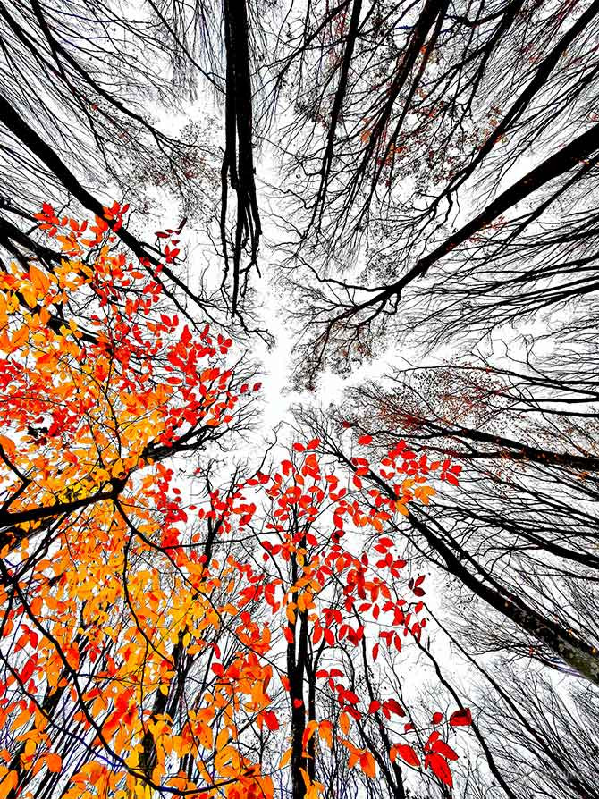 Картавкин Артем (г. Майкоп, республика Адыгея), фоторабота &laquo;Пришла осень&raquo;.