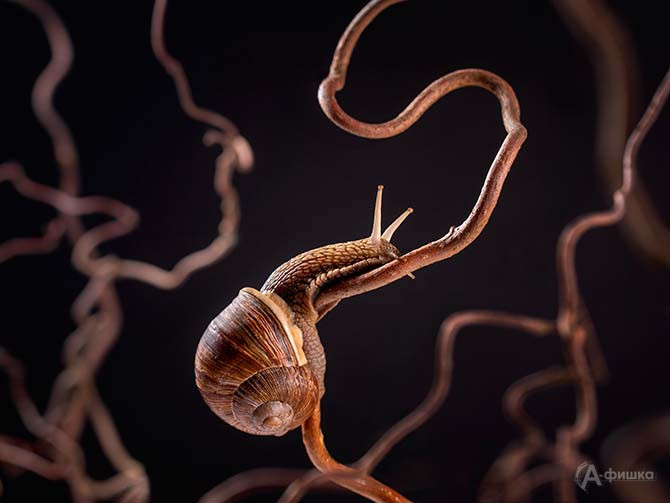 Кузьмина Ольга (г. Москва), фоторабота &laquo;Путь&raquo;.