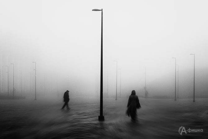 Лобанова Марина (г. Дмитров, Московская область), фоторабота &laquo;Солярис&raquo;.