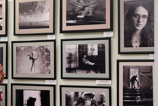 Грандиозной по количеству фотографий (более 120 снимков) стала презентованная на торжественной церемонии выставка по итогам XVI открытого фотоконкурса имени В. А. Собровина