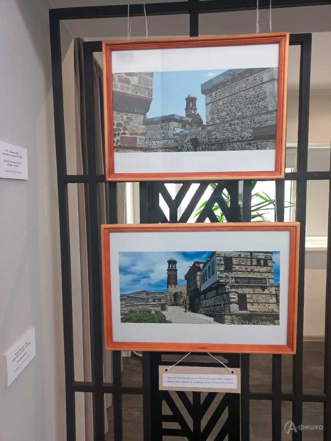 Фрагмент экспозиции выставки &laquo;Эрзурум. По следам А. С. Пушкина&raquo; в Белгороде